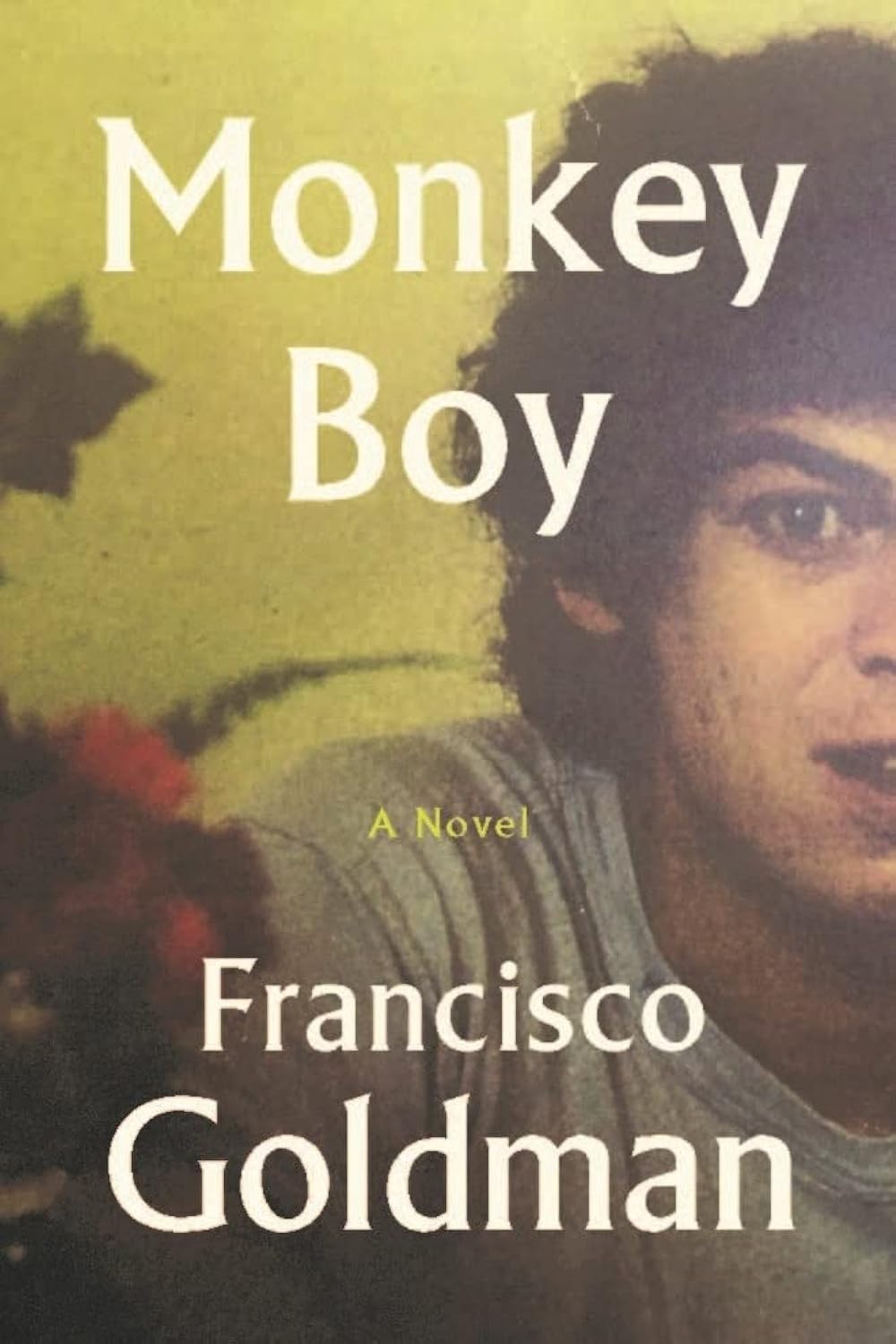 Monkey Boy,Used