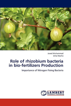 Role of rhizobium bacteria in biofertilizers Production: Importance of Nitrogen Fixing Bacteria,Used