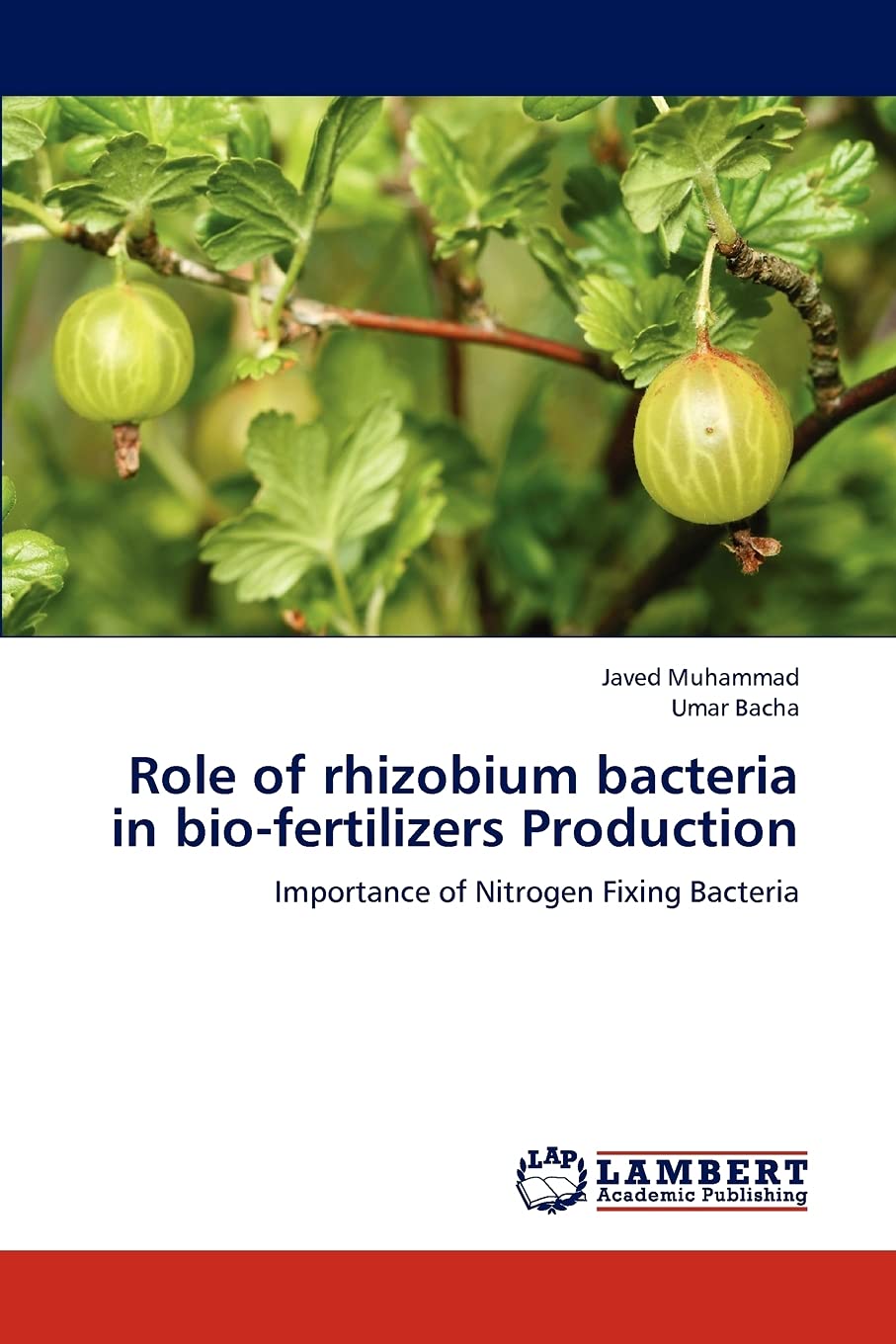 Role of rhizobium bacteria in biofertilizers Production: Importance of Nitrogen Fixing Bacteria,Used