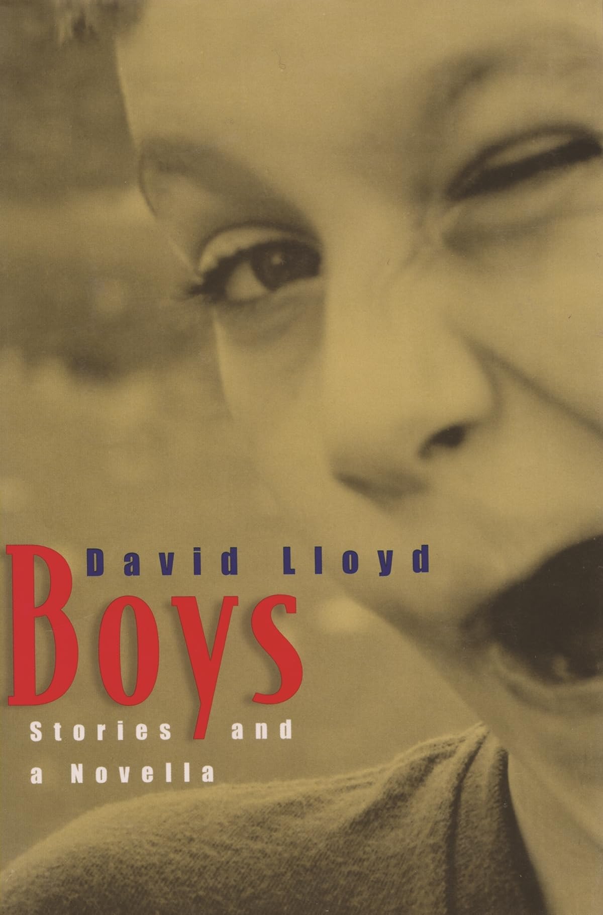Boys: Stories And A Novella,Used