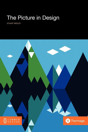 The Picture In Design: What Graphic Designers, Art Directors And Illustrators Should Know About Communicating With Pictures,Used