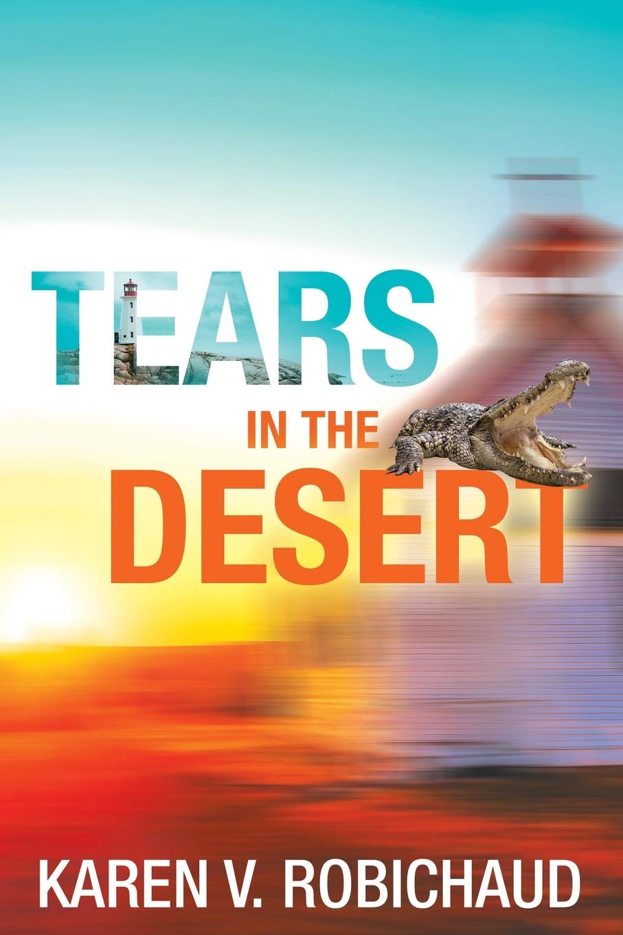 Tears in the Desert,Used