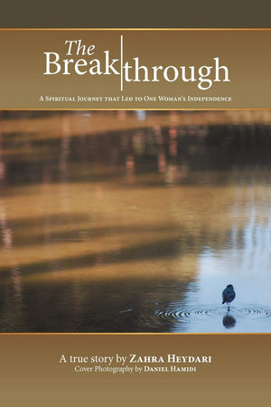 The Breakthrough: A Spiritual Journey That Led To One Woman'S Independence,Used