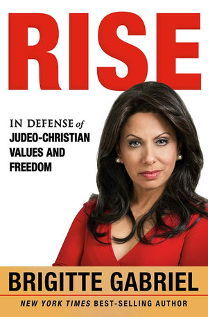 Rise: In Defense of JudeoChristian Values and Freedom,Used