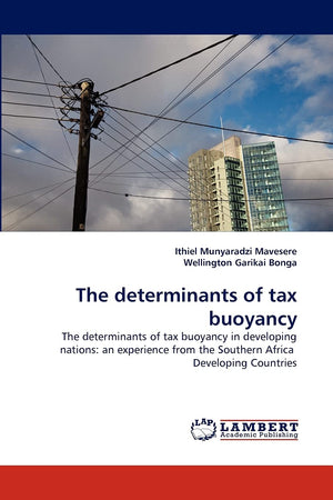 The determinants of tax buoyancy: The determinants of tax buoyancy in developing nations: an experience from the Southern Africa,Used