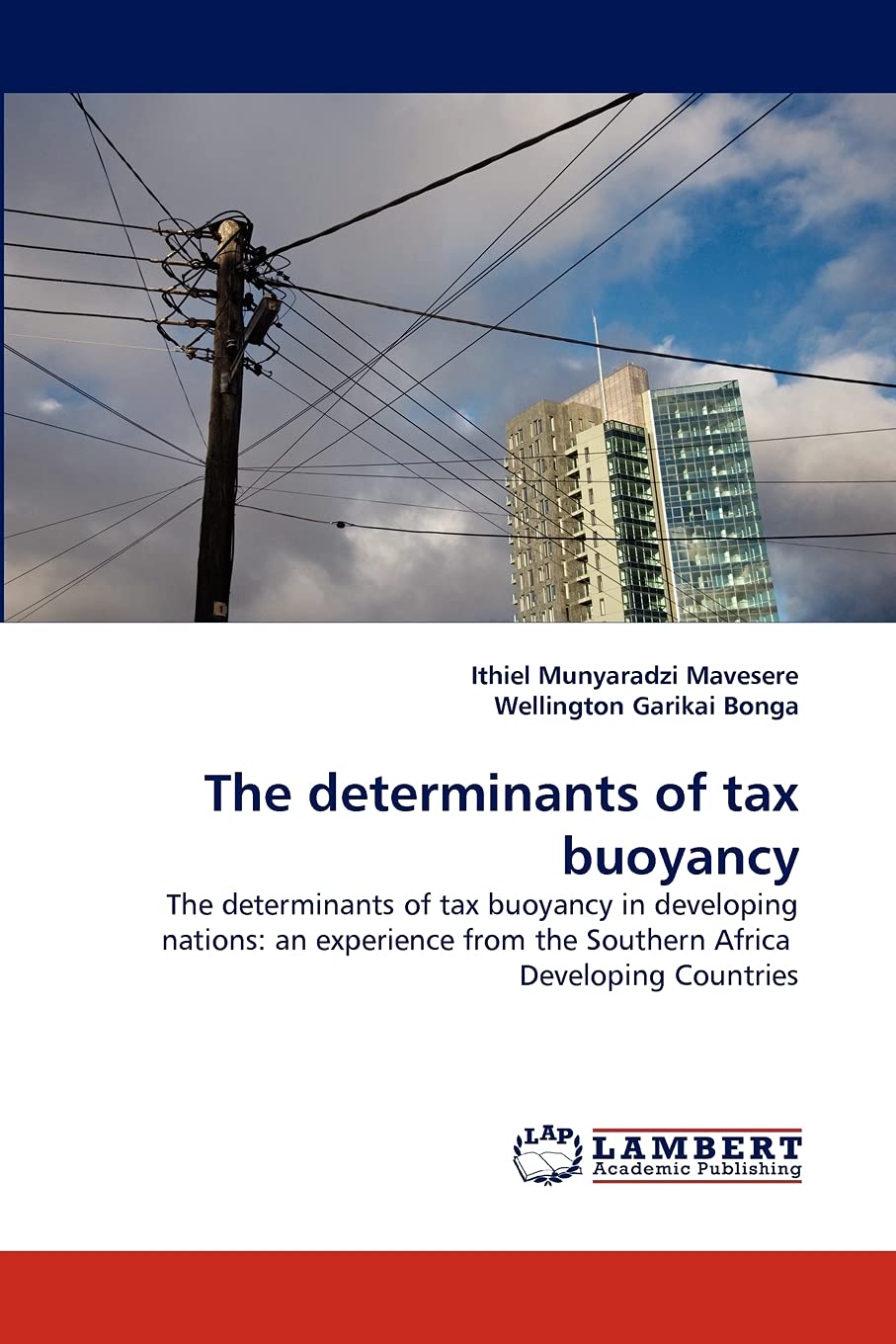 The determinants of tax buoyancy: The determinants of tax buoyancy in developing nations: an experience from the Southern Africa,Used