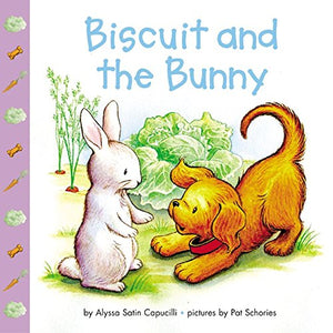 Biscuit and the Bunny,Used
