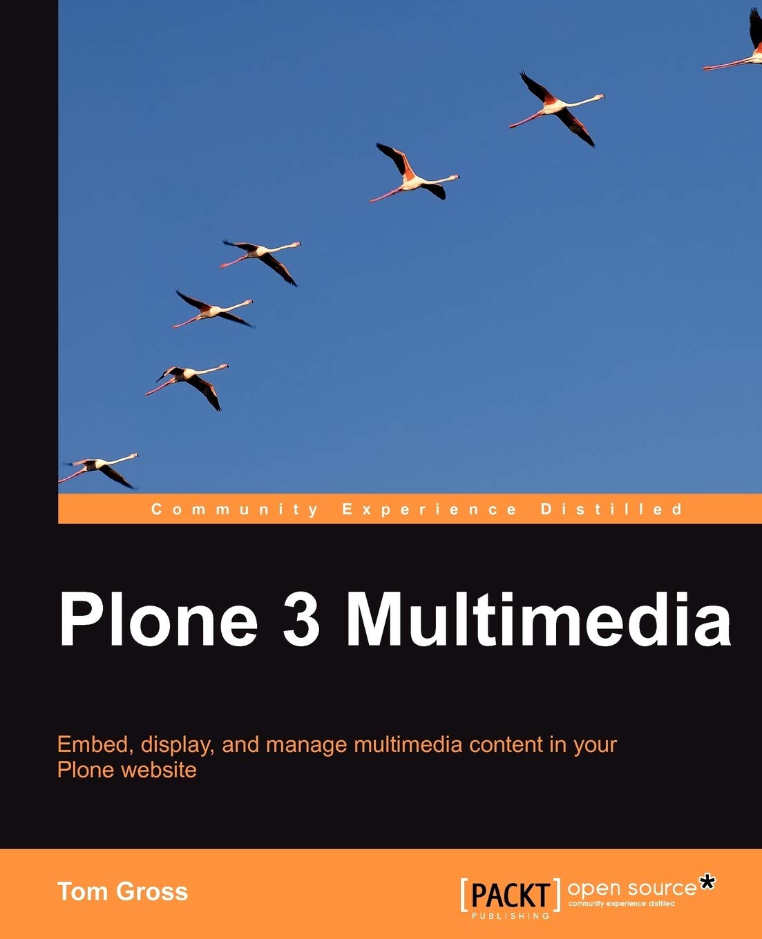 Plone 3 Multimedia,Used
