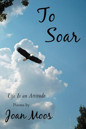 To Soar: Life Is an Attitude,Used