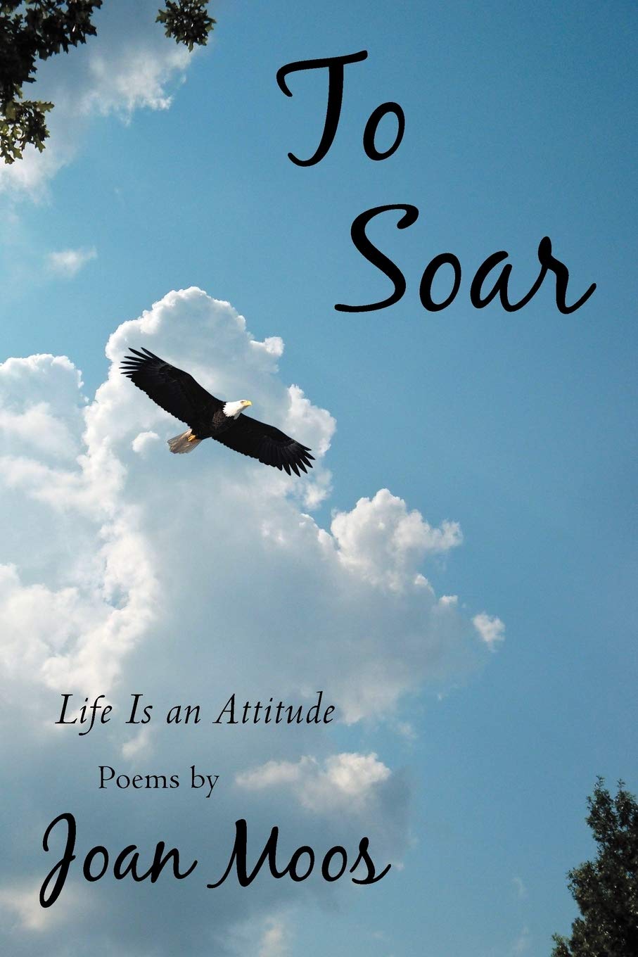 To Soar: Life Is an Attitude,Used