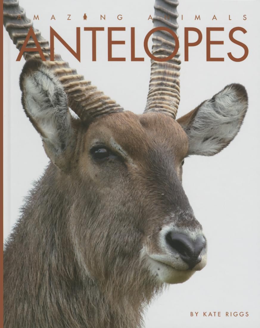 Amazing Animals  Classic Edition: Antelopes Hardcover,Used