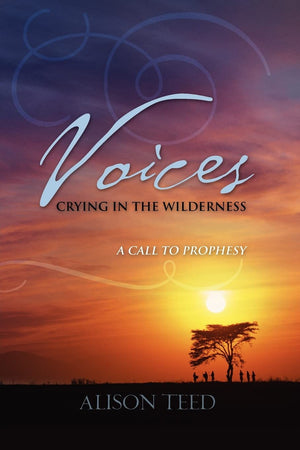 Voices Crying in the Wilderness,Used