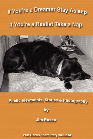 If You'Re A Dreamer Stay Asleep If You'Re A Realist Take A Nap,Used