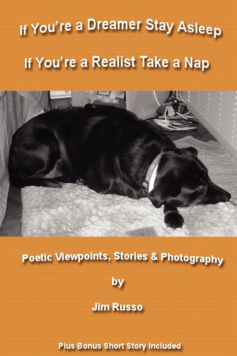 If You'Re A Dreamer Stay Asleep If You'Re A Realist Take A Nap,Used