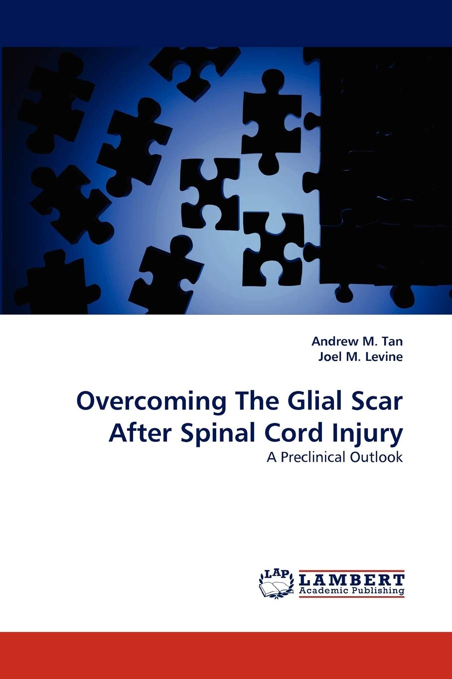 Overcoming The Glial Scar After Spinal Cord Injury: A Preclinical Outlook,Used