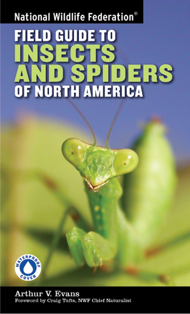 National Wildlife Federation Field Guide to Insects and Spiders & Related Species of North America,Used