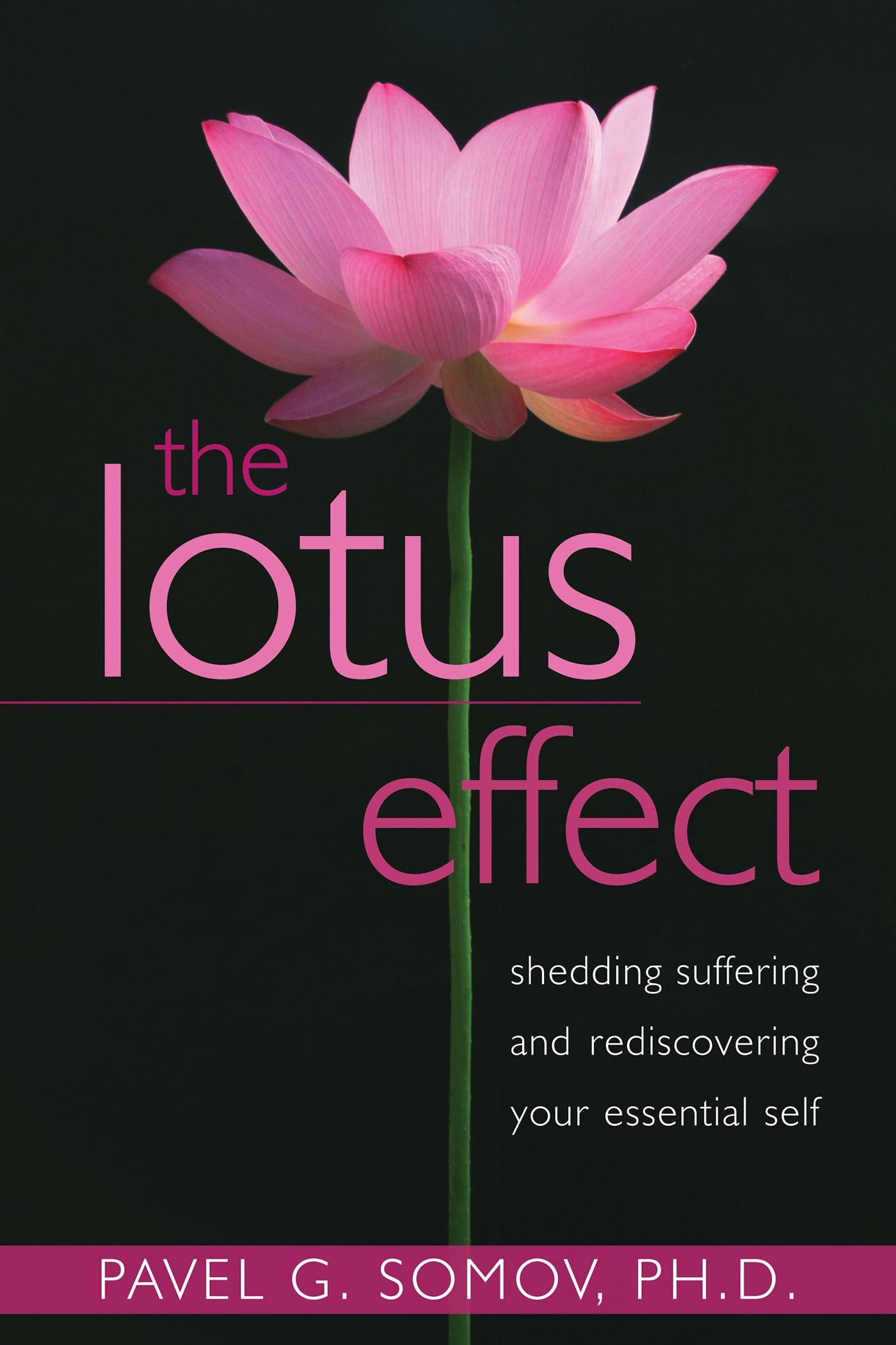 The Lotus Effect: Shedding Suffering and Rediscovering Your Essential Self,Used