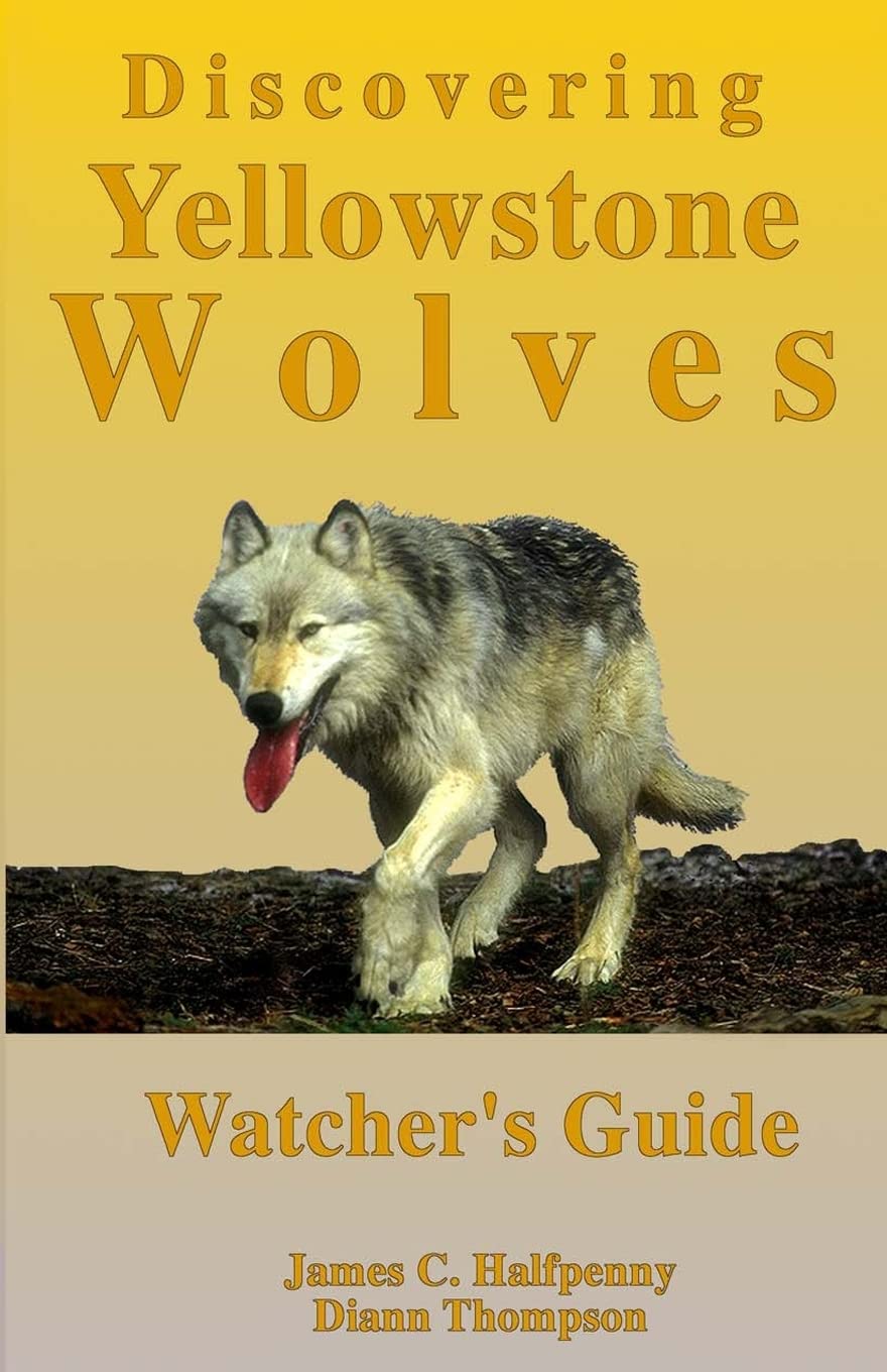 Discovering Yellowstone Wolves: Watcher's Guide,Used