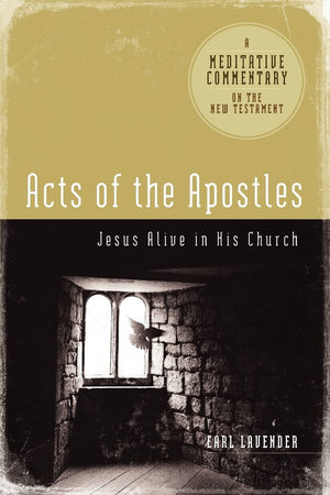 Meditative Commentary  Acts of the Apostles (Meditative Commentaries),New