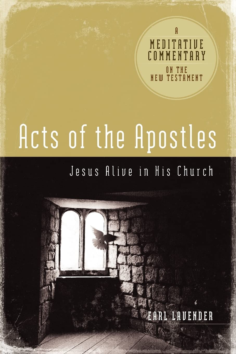 Meditative Commentary  Acts of the Apostles (Meditative Commentaries),Used