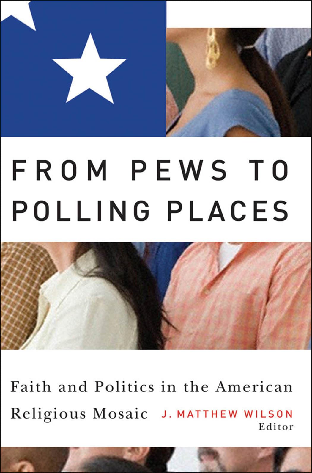 From Pews to Polling Places: Faith and Politics in the American Religious Mosaic (Religion and Politics),Used