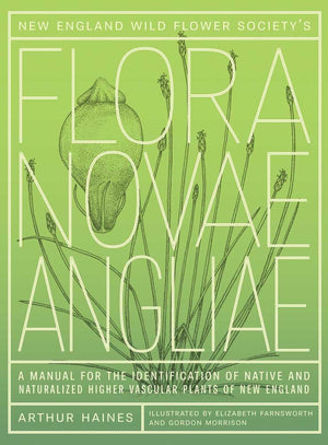 New England Wild Flower Society's Flora Novae Angliae: A Manual for the Identification of Native and Naturalized Higher Vascular,Used