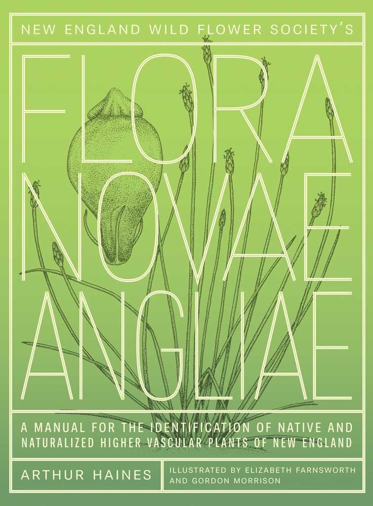 New England Wild Flower Society's Flora Novae Angliae: A Manual for the Identification of Native and Naturalized Higher Vascular,Used
