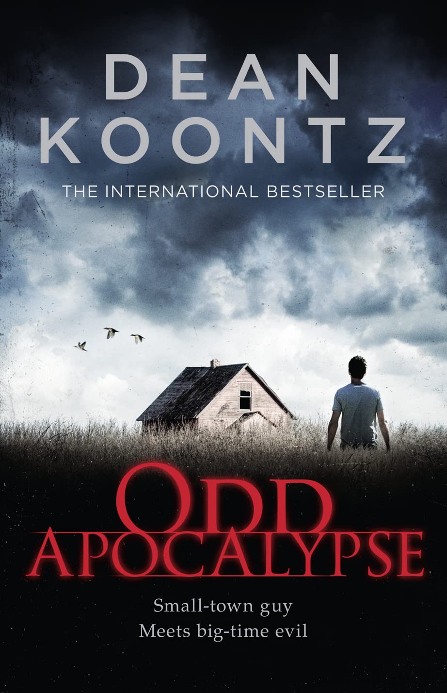Odd Apocalypse