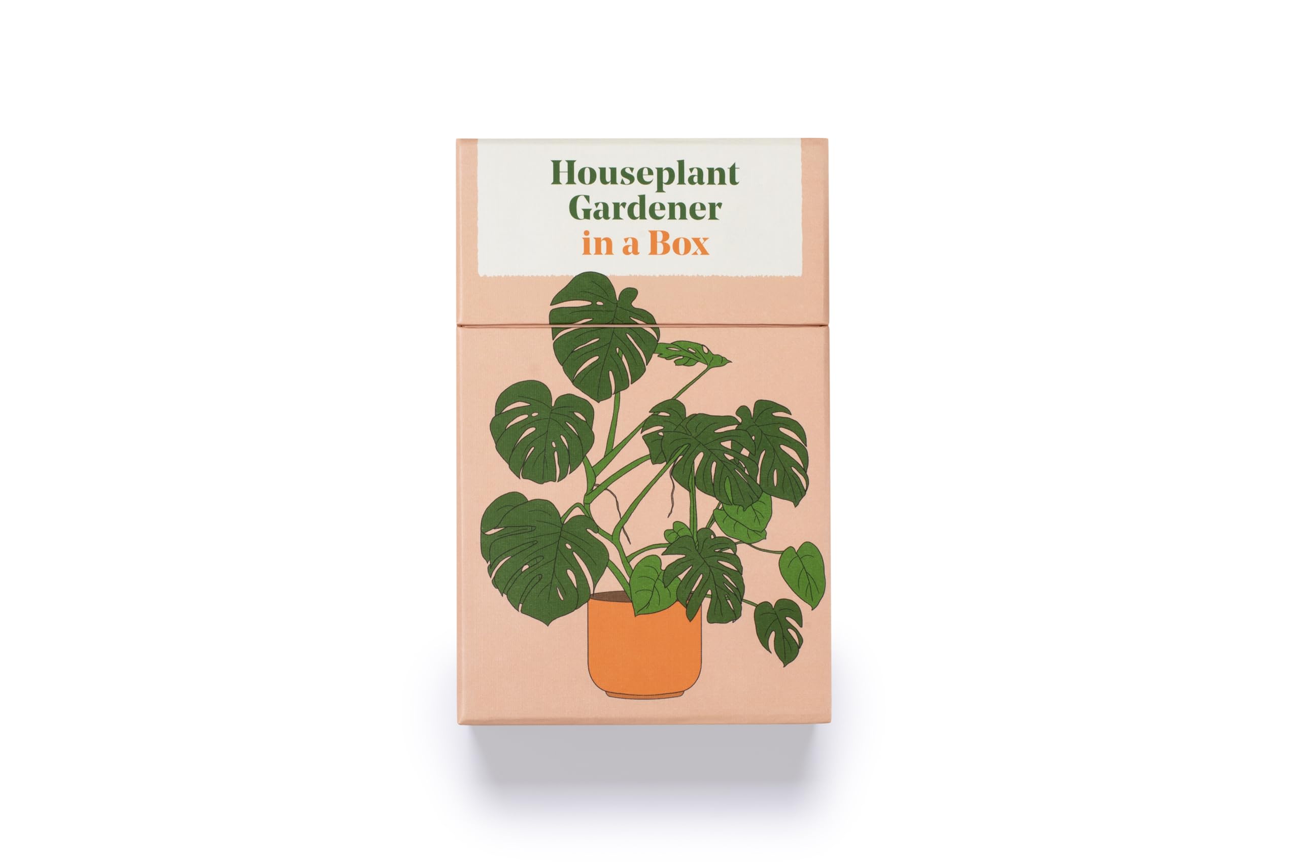 Houseplant Gardener In A Box: How To Care For Indoor Plants