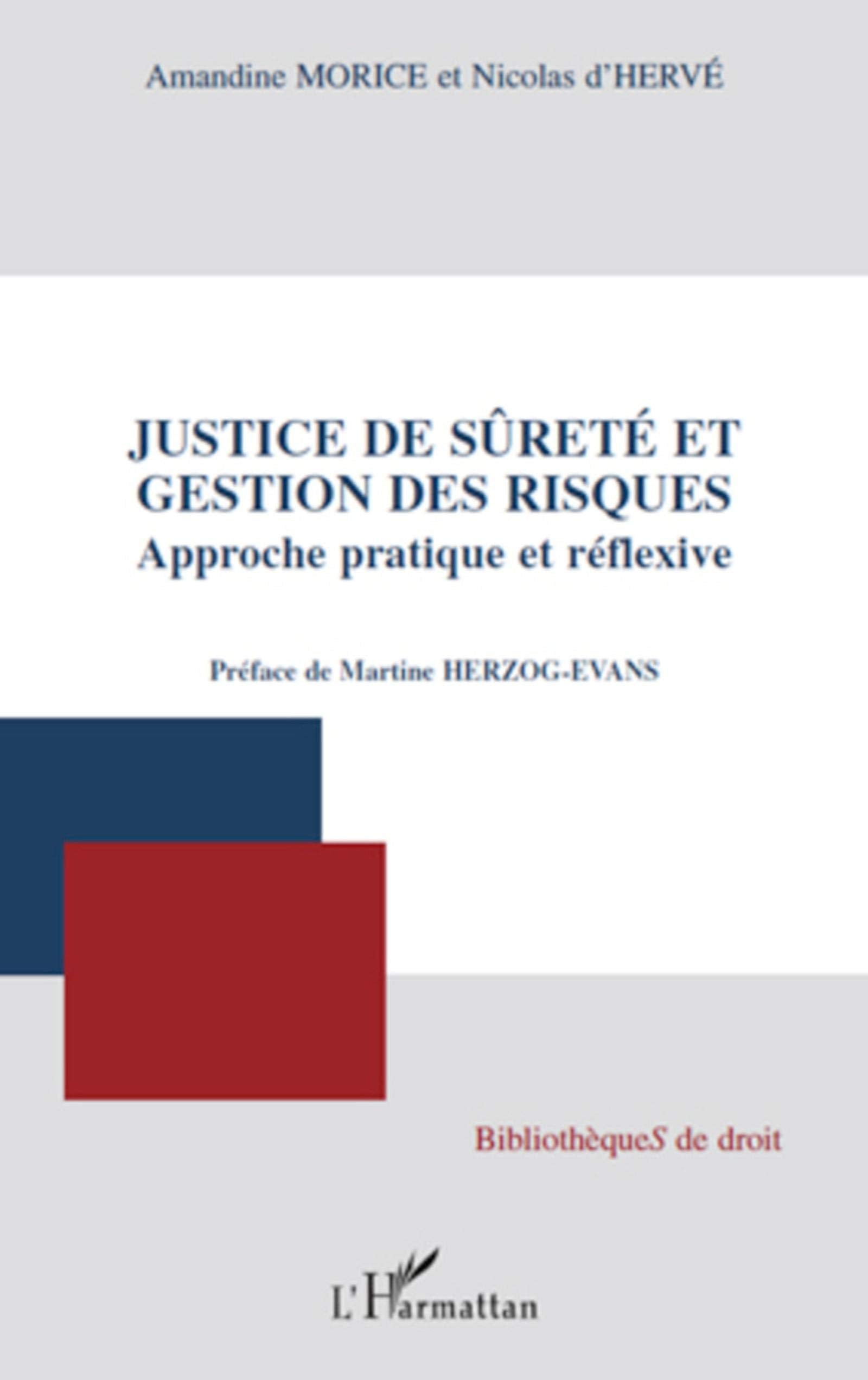 Justice de sret et gestion des risques: Approche pratique et rflexive (French Edition),Used