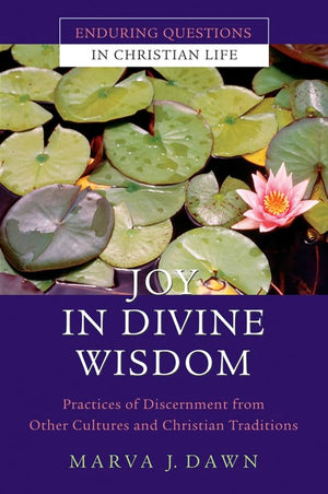 Joy in Divine Wisdom: Practices of Discernment from Other Cultures and Christian Traditions (Enduring Questions in Christian Lif,Used