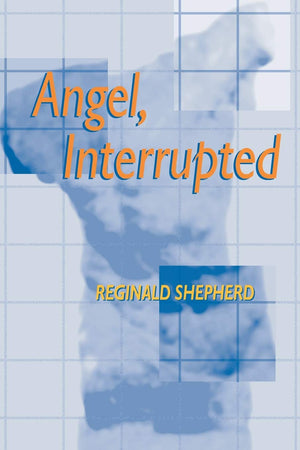 Angel Interrupted (Pitt Poetry Series),New