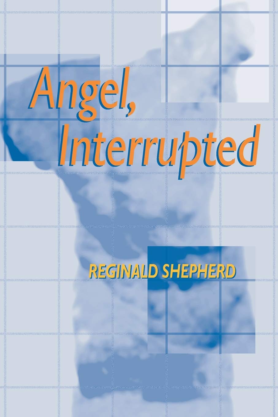 Angel Interrupted (Pitt Poetry Series),New