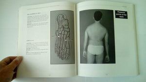 Advanced Pressure Point Fighting of Ryukyu Kempo: Dillman Theory for All Systems Point Fighting,Used
