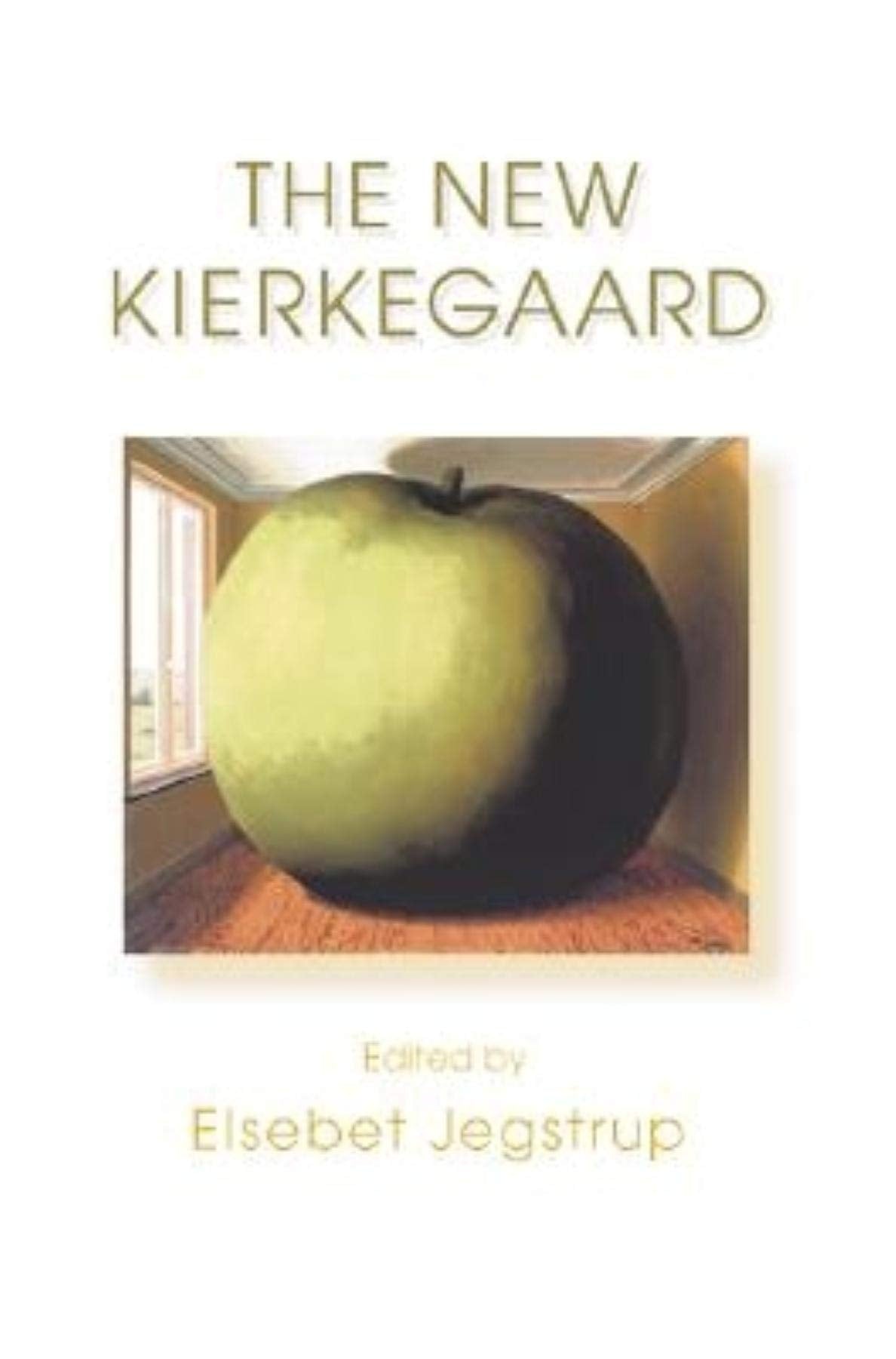 The New Kierkegaard (Studies In Continental Thought),Used