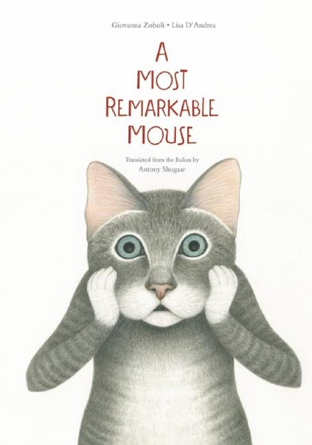 A Most Mysterious Mouse,Used