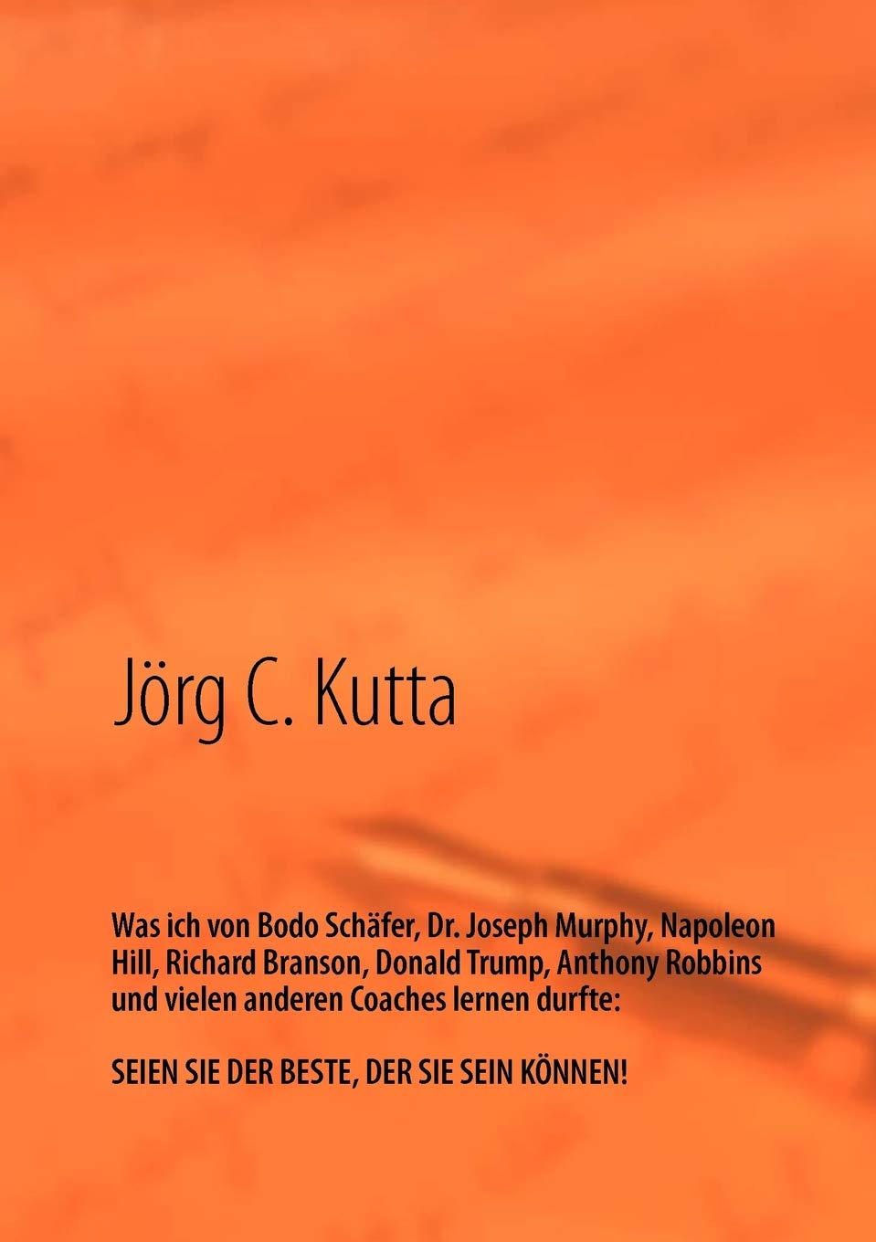 Was ich von Bodo Schfer, Dr. Joseph Murphy, Napoleon Hill, Richard Branson, Donald Trump, Anthony Robbins und vielen anderen Coa,Used