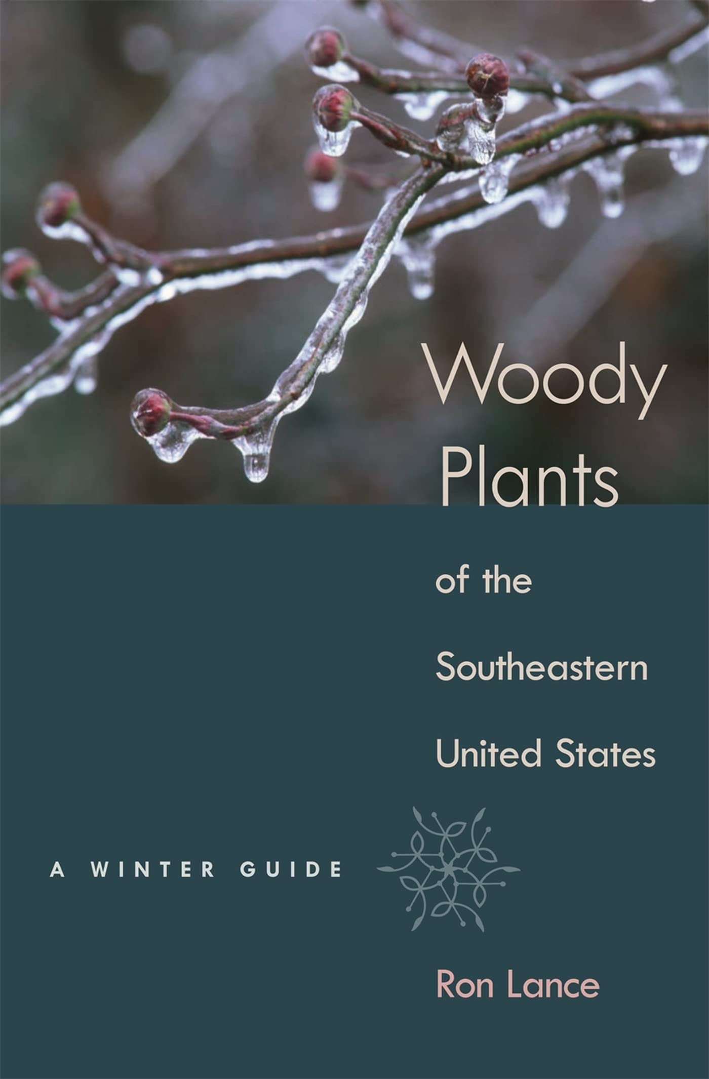 Woody Plants Of The Southeastern United States: A Winter Guide,Used
