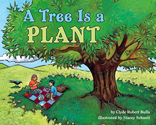 A Tree Is A Plant (Let'Sreadandfindout Science),Used