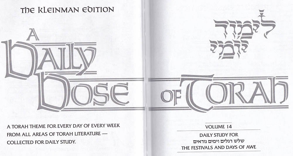 A Daily Dose Of Torah  Volume 14 The Festivals And Days Of Awe,Used