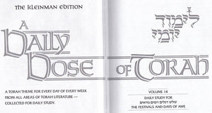 A Daily Dose Of Torah  Volume 14 The Festivals And Days Of Awe,Used
