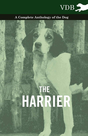 The Harrier  A Complete Anthology Of The Dog,Used