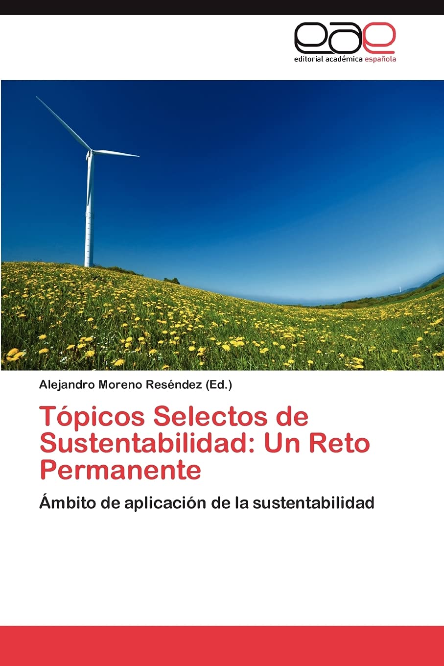 Tpicos Selectos de Sustentabilidad: Un Reto Permanente: mbito de aplicacin de la sustentabilidad (Spanish Edition),Used