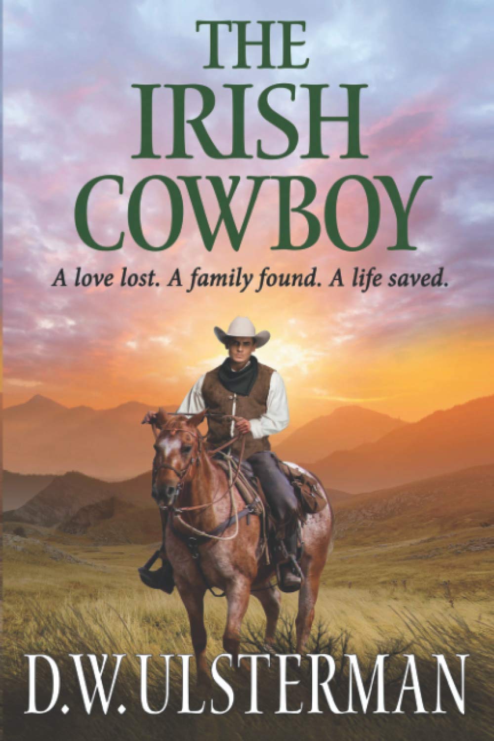 THE IRISH COWBOY: A love lost. A family found. A life saved. (Montana Adventures Collection),Used