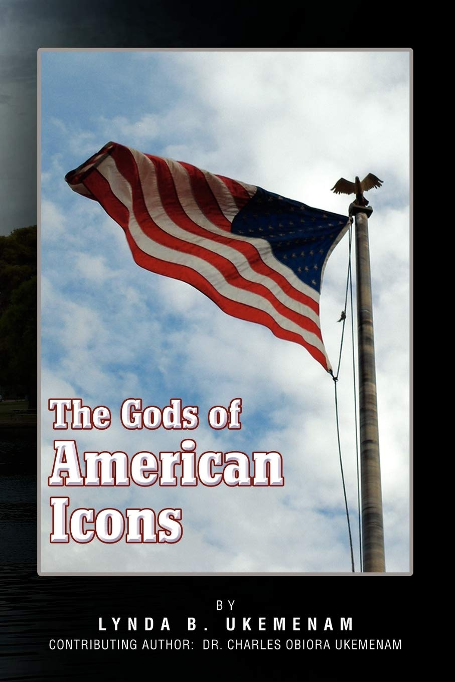 The Gods Of American Icons,Used
