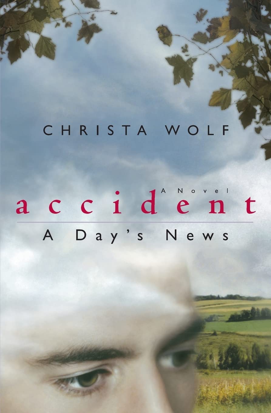 Accident: A Day's News: A Novel (Phoenix Fiction),Used