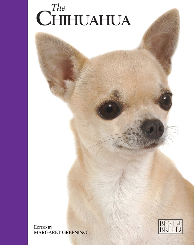 The Chihuahua (Best Of Breed),Used