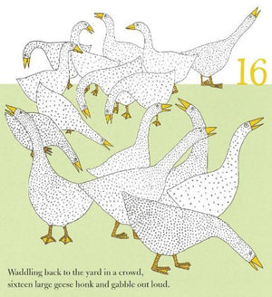Counting Birds,Used