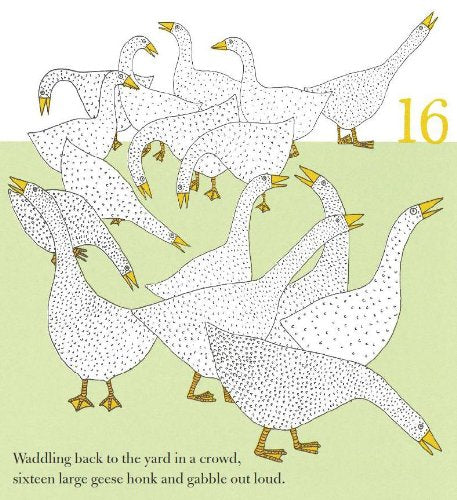 Counting Birds,Used