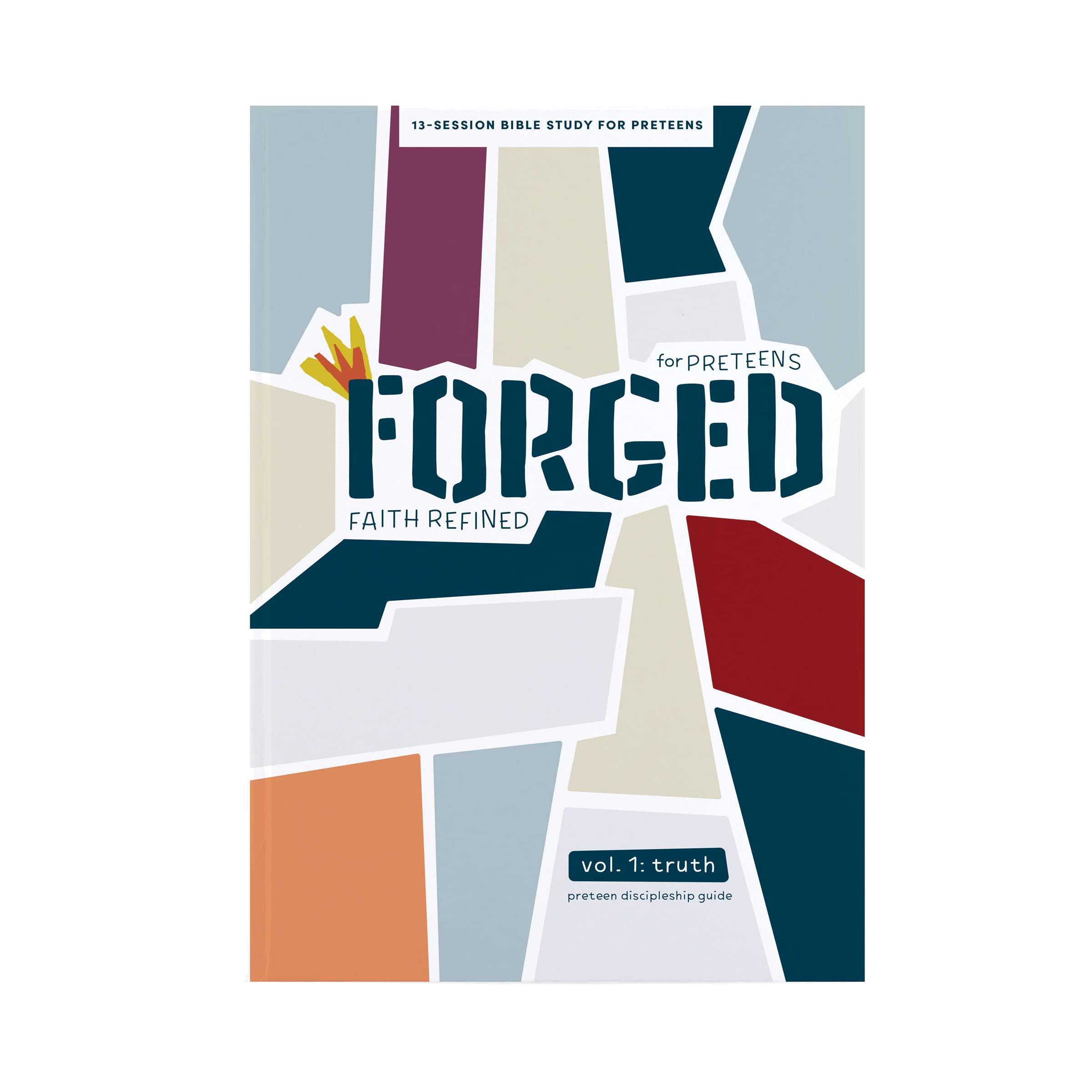 Forged: Faith Refined  Preteen Discipleship Guide: Volume 1: Truth (Volume 1),Used
